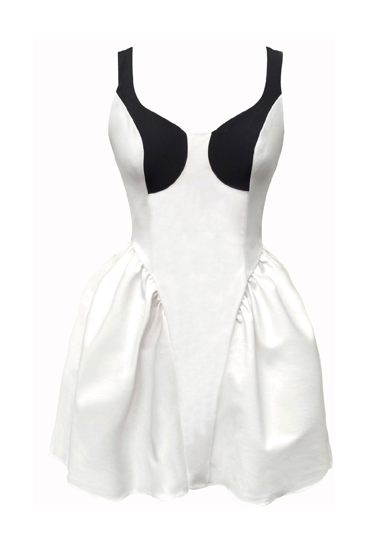 Cisne Mini Dress